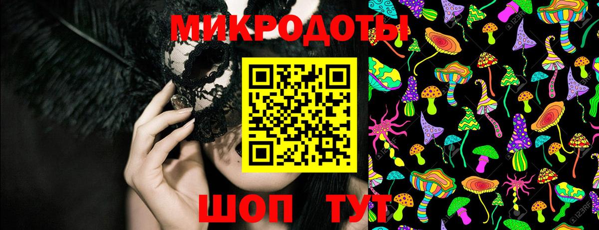 Галлюциногенные грибы Psilocybe Верхняя Пышма
