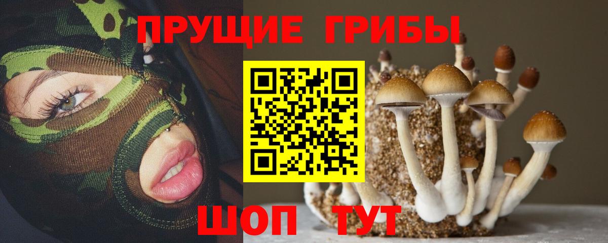 Псилоцибиновые грибы мухоморы  Вход с VPN  Верхняя Пышма 